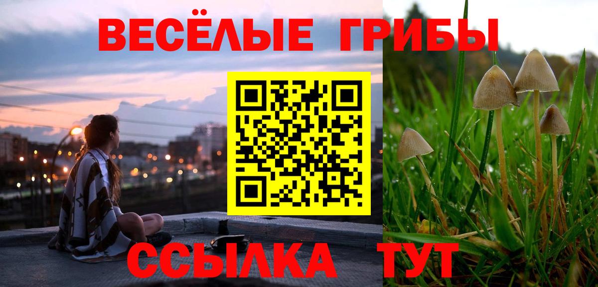 Галлюциногенные грибы Cubensis  Галлюциногенные грибы Magic Shrooms  Вход с VPN  Кизляр 